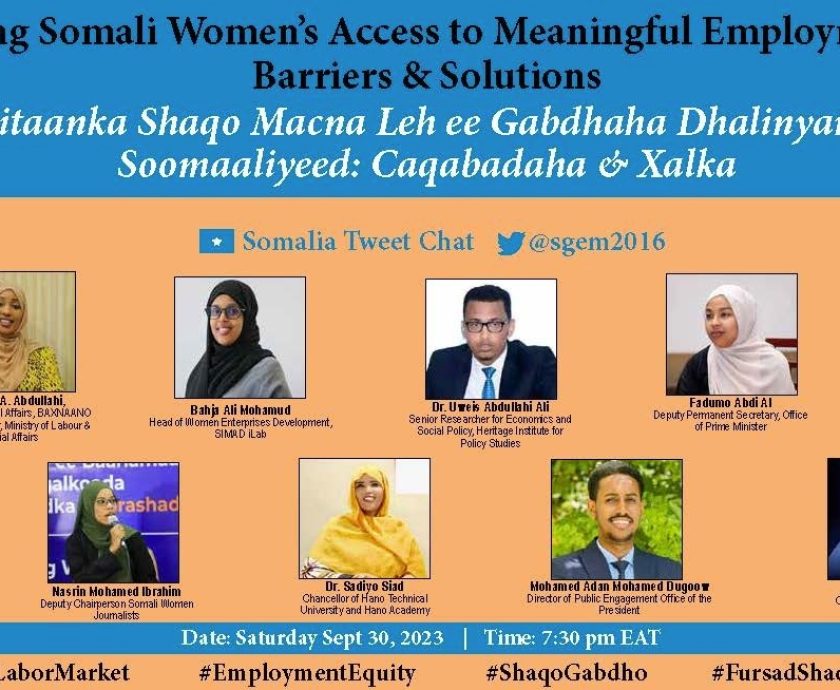 YYoung-Somali-Womens-Access-to-Meaningful-Employment-Barriers-Solutions-Poster